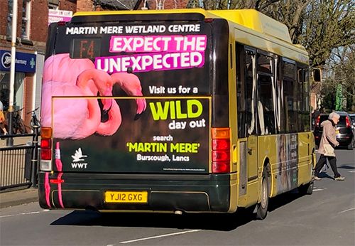 Martin Mere Uses Bus Advertising